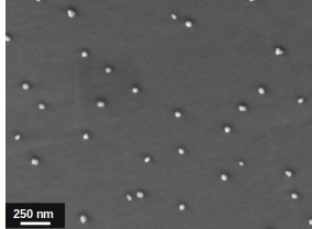 SEM image of perovskite-supported nanoparticles