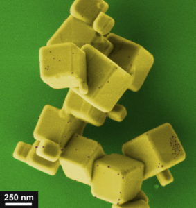 False colour SEM image of calcium titanate-supported Ni nanoparticles